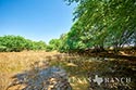 549 acre ranch La Salle County image 28