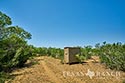 549 acre ranch La Salle County image 34