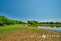 549 acre ranch La Salle County image 40