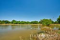 549 acre ranch La Salle County image 41