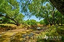 549 acre ranch La Salle County image 44