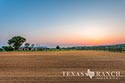 551 acre ranch Medina County image 95