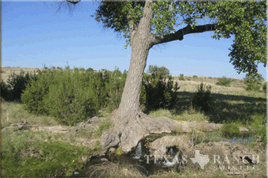 live water ranch 55 acres Jeff Davis county