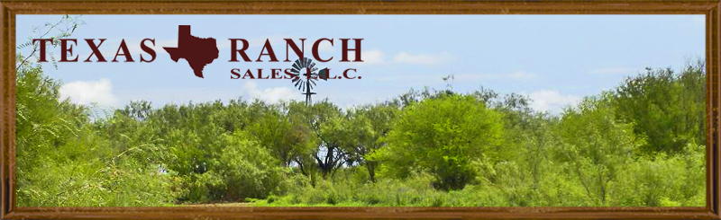 568 acres Jim Hogg County