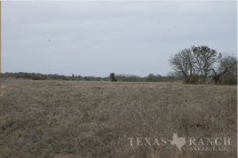 ranch 562 acres, Live Oak county - image