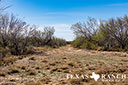 623 acre ranch Dimmit County image 38