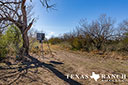 623 acre ranch Dimmit County image 41