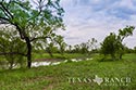 645 acre ranch Uvalde County image 27