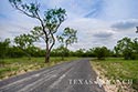 645 acre ranch Uvalde County image 2