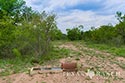645 acre ranch Uvalde County image 5
