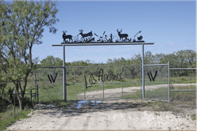 ranch 640 acres, Medina county - image
