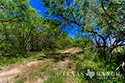 68 acre ranch Medina County image 12