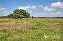696 acre ranch Jackson County image 4