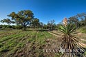 705 acre ranch Medina County image 29