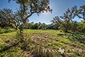 705 acre ranch Medina County image 31