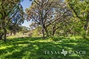 705 acre ranch Medina County image 9