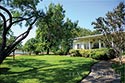 70 acre ranch Atascosa County image 3
