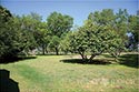 70 acre ranch Atascosa County image 5