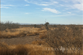 Ranch for sale, Image 11