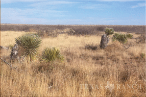 Ranch for sale, Image 2