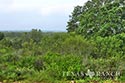 72 acre ranch Medina County image 4