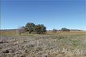 733 acre ranch Mills County image 14
