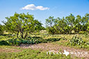 740 acre ranch Concho County image 23