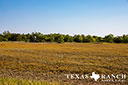 740 acre ranch Concho County image 33