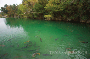 ranch real estate sale, 750 acres, image 31