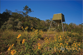 ranch real estate sale, 750 acres, image 38