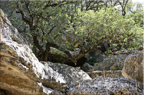 ranch real estate sale, 750 acres, image 45