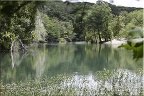 ranch real estate sale, 750 acres, image 46