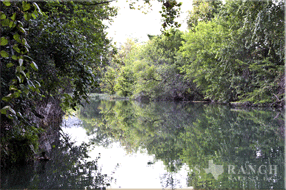 ranch real estate sale, 750 acres, image 6