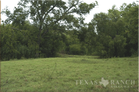 hunting ranch 754 acres, Karnes county - image