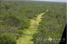 ranch real estate, 758 acres, image 10