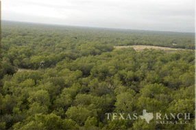 ranch real estate, 758 acres, image 11
