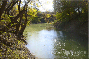 ranch real estate, 758 acres, image 2