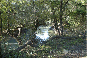 ranch real estate, 758 acres, image 3