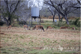 ranch real estate, 758 acres, image 9