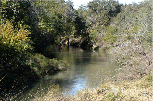 ranch 758 acres, Dimmit county - image