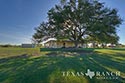 767 acre ranch Merdina County image 5