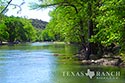 78 acre ranch Comal County image 15