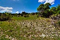 793 acre ranch Kimble County image 35