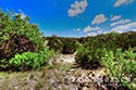 793 acre ranch Kimble County image 38