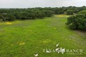 801 acre ranch Kendall County image 98