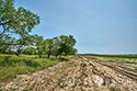 812 acre ranch Zavala County image 18