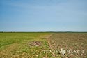 812 acre ranch Zavala County image 20
