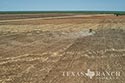 812 acre ranch Zavala County image 24