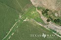 812 acre ranch Zavala County image 31