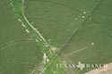 812 acre ranch Zavala County image 33